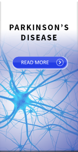 Folder Image for Parkinson's Disease